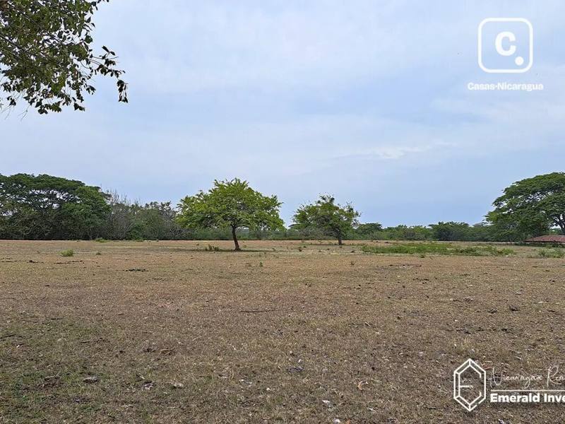 Lot for sale in Granada – 28,000 m²
