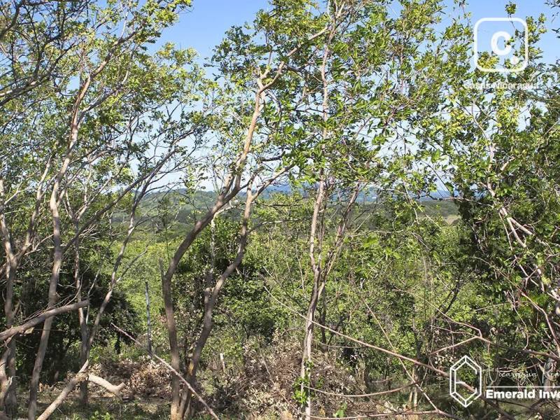 Lot for sale in Tola, Rivas – 2,475 m²
