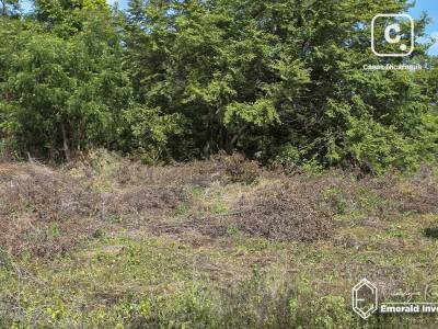 Lot for sale in Tola, Rivas – 954 m²