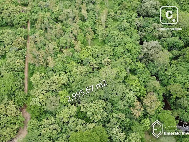 Lot for sale in Tola, Rivas – 2,995 m²