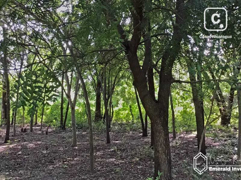 Lot for sale in Tola, Rivas – 1,575 m²