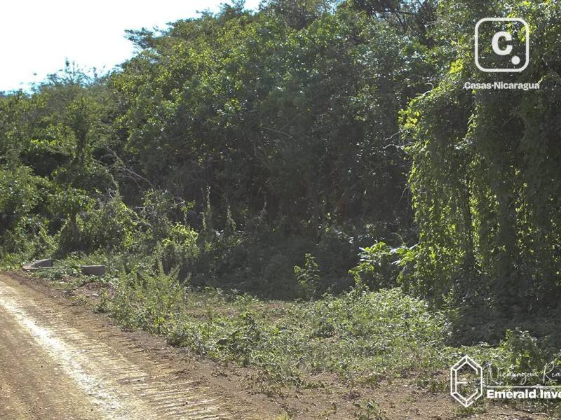 Lot for sale in Tola, Rivas – 4,029 m²