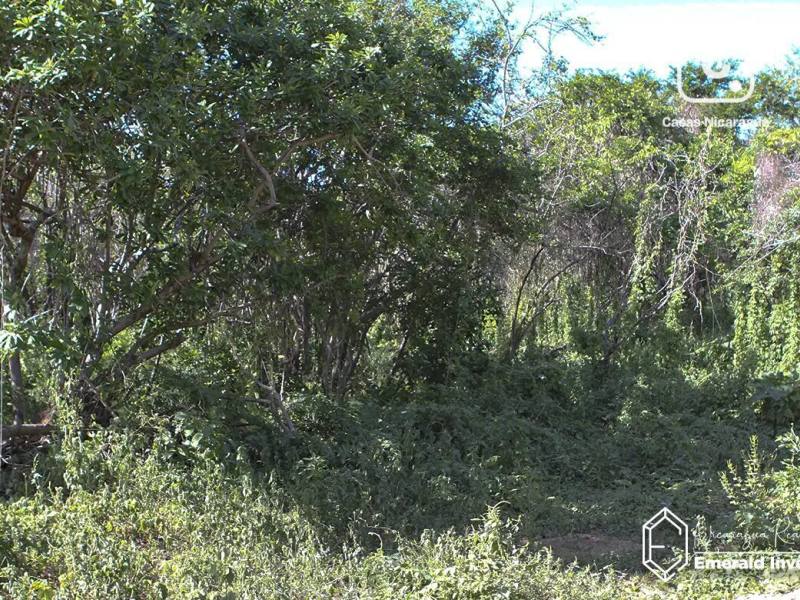 Lot for sale in Tola, Rivas – 4,029 m²