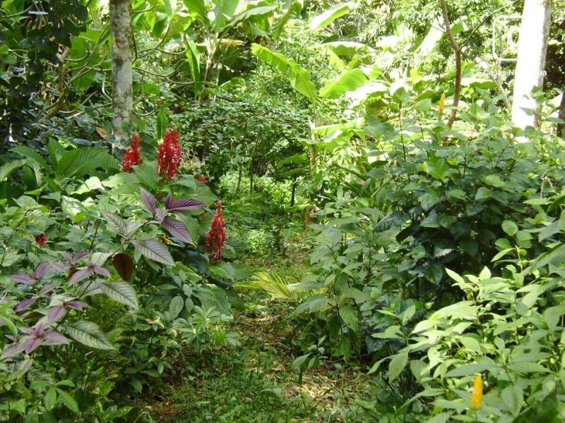 Lot for sale in Catarina, Masaya – 5,240 m²