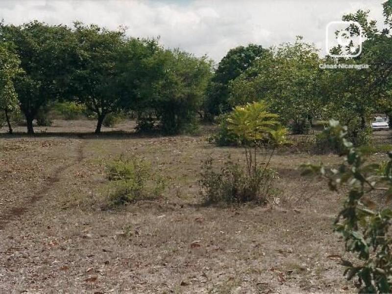 Lot for sale in Las Jaguitas, Managua – 3,494 m²
