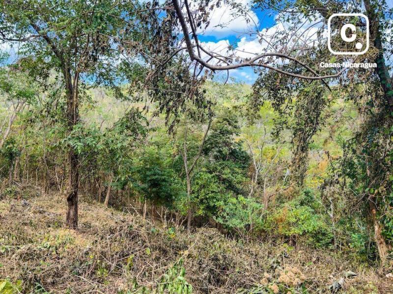 Lot for sale in San Juan del Sur, Rivas – 13,247 m²