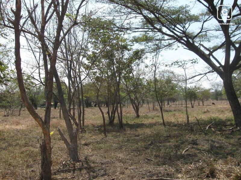 Terreno en venta en San Juan del Sur, Rivas – 129,499 m²