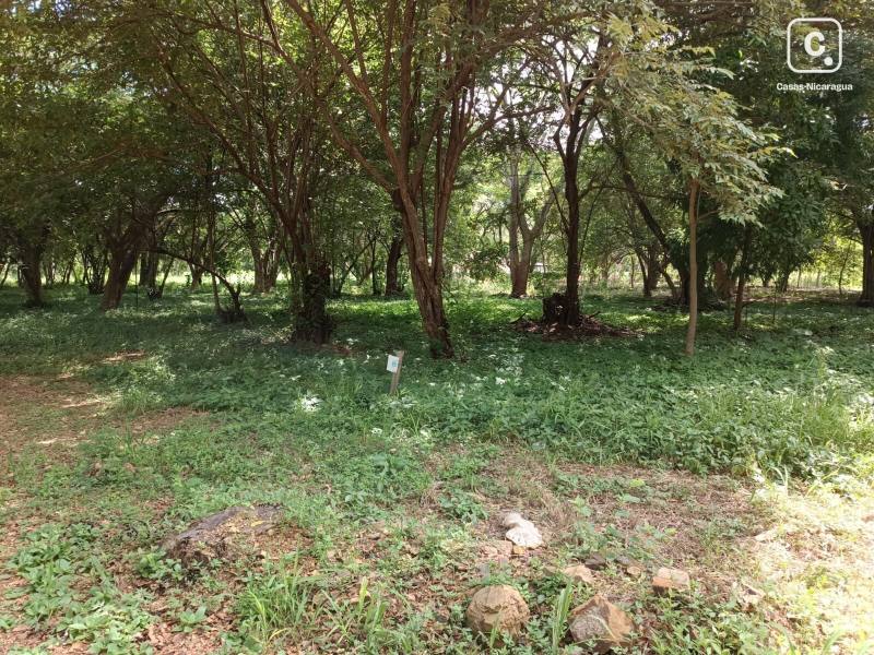Lot for sale in San Juan del Sur, Rivas – 551 m²