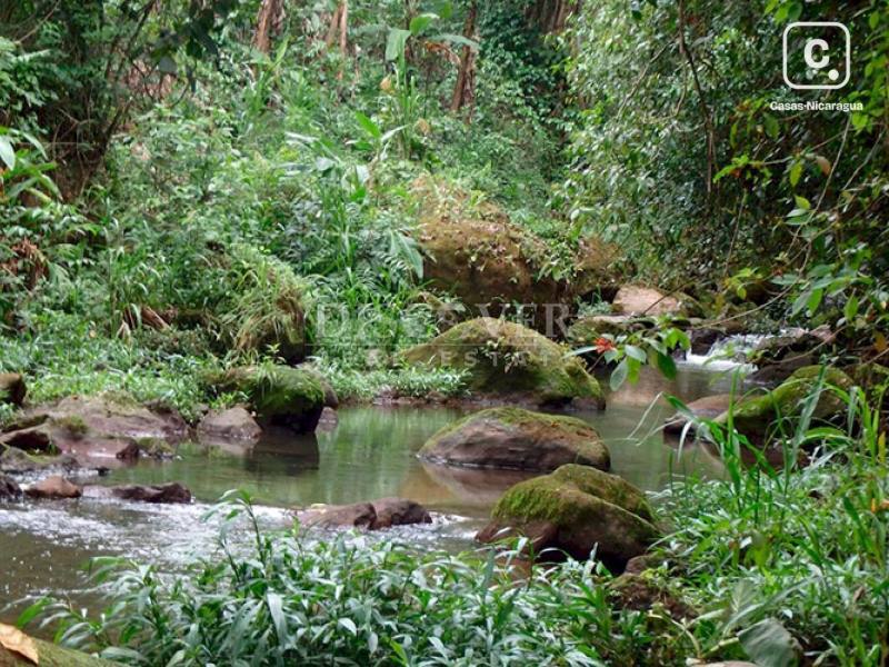 Farm for sale in Jinotega – 10 beds, 244,545 m²