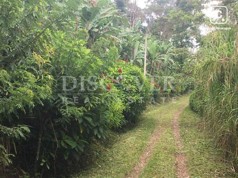 Farm for sale in Jinotega – 10 beds, 244,545 m²