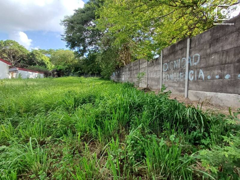 Lot for rent in Villa Fontana, Managua – 1,000 m²
