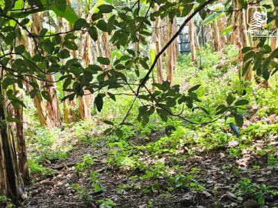 House for sale in Carretera Sur, Managua – 1,728 m²