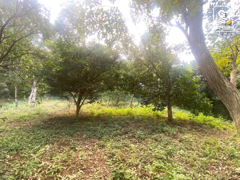 Casa en venta en Carretera Masaya, Managua – 10,138 m²