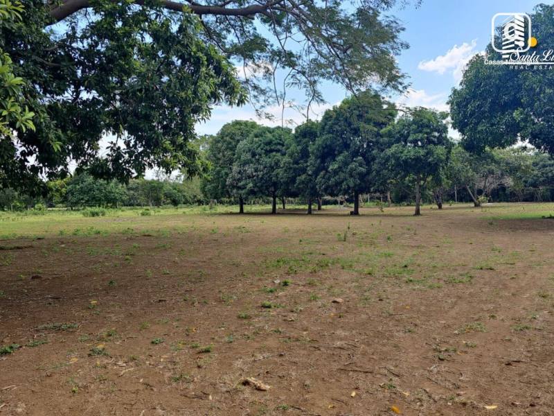 House for sale in Managua – 7,046 m²