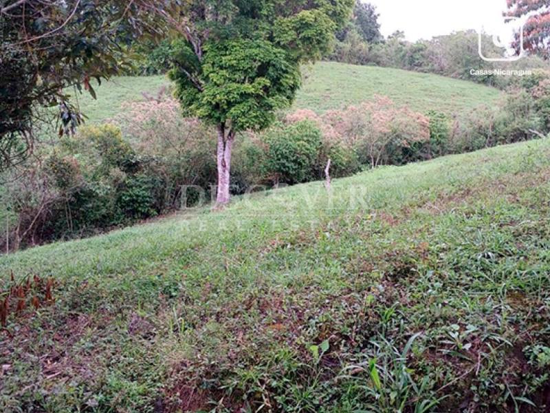 Finca en venta en Jinotega – 175 m²