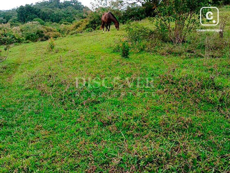 Finca en venta en Jinotega – 175 m²