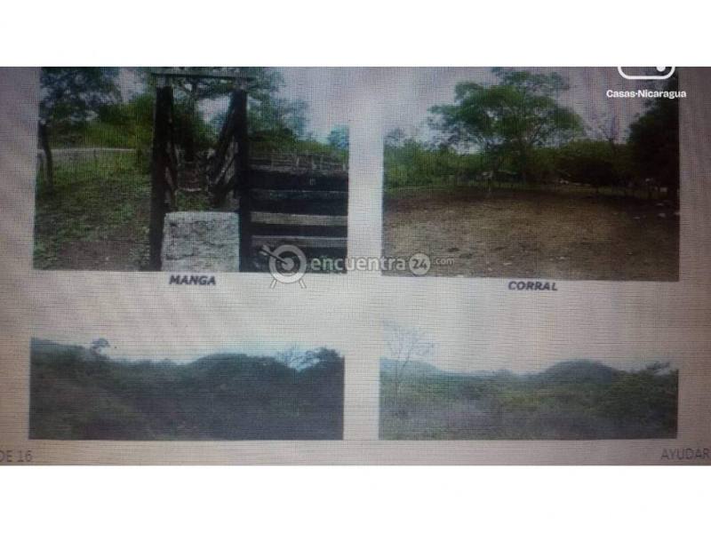 Farm for sale in Chinandega – 2,015,050 m²
