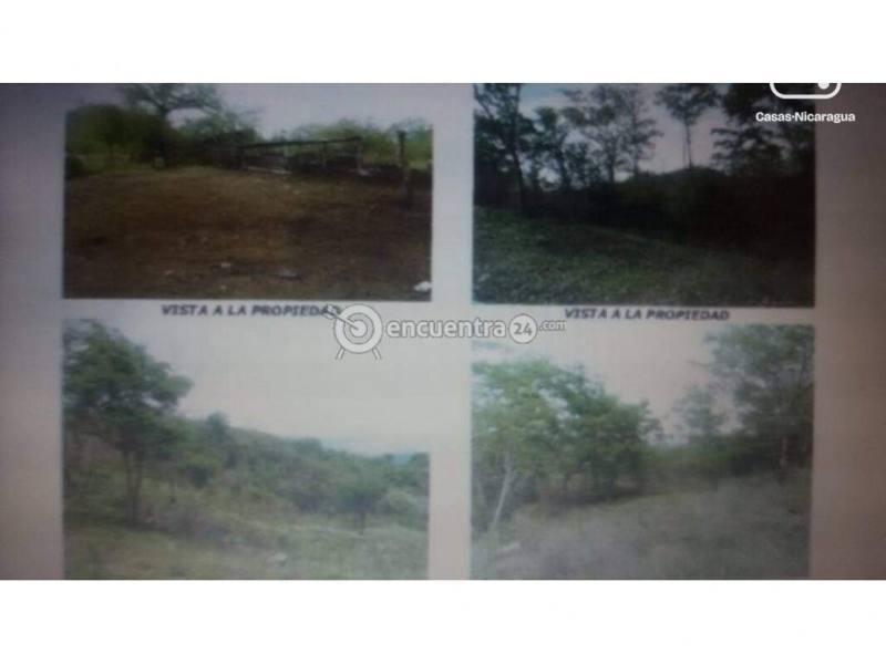 Farm for sale in Chinandega – 2,015,050 m²