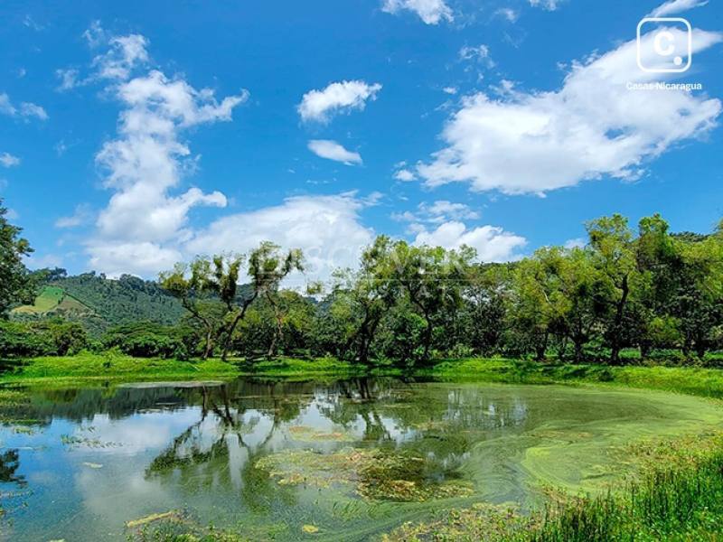 Terreno en venta en Jinotega – 790,000 varas²