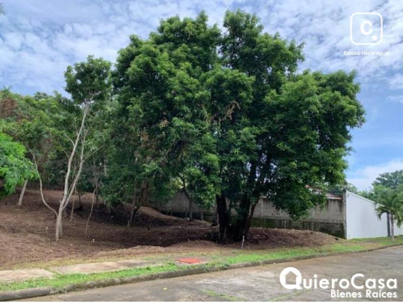 Terreno en venta en Santo Domingo, Managua – 1,593 m²