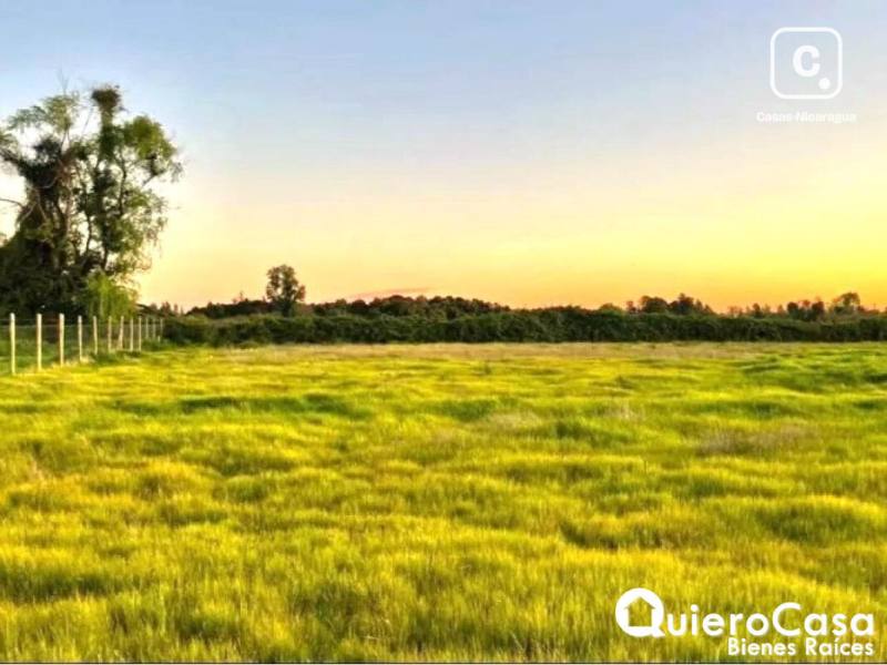 Terreno en venta en Sábana Grande, Managua – 4,930 m²