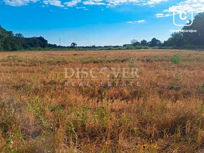Lot for sale in Chichigalpa, Chinandega – 139,740 m²