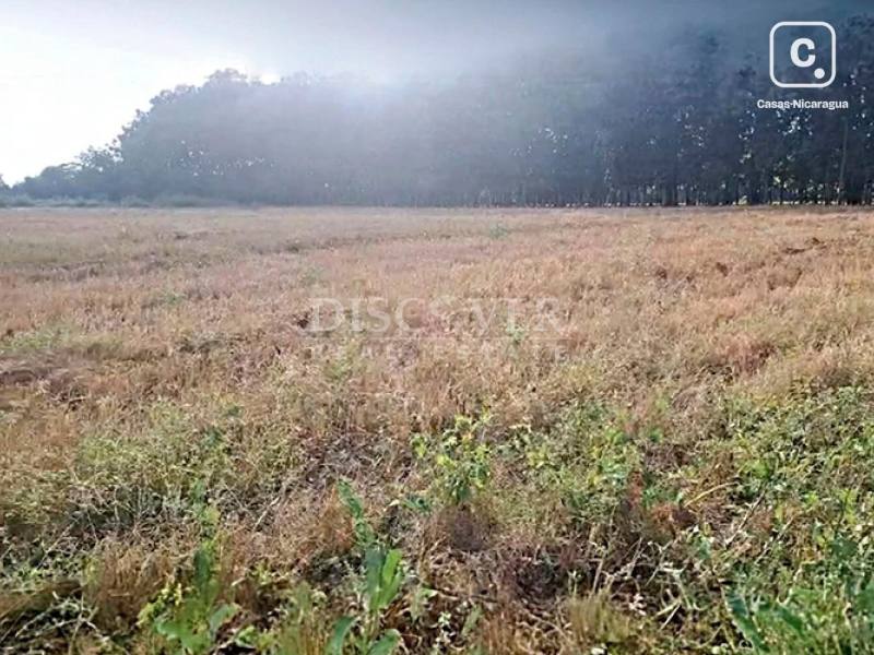 Lot for sale in Chichigalpa, Chinandega – 139,740 m²