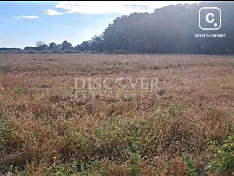 Lot for sale in Chichigalpa, Chinandega – 139,740 m²