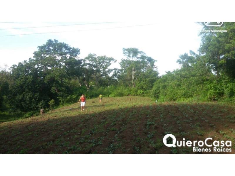 Lot for sale in Villa Fontana, Managua – 6,987 m², US$ 250,000