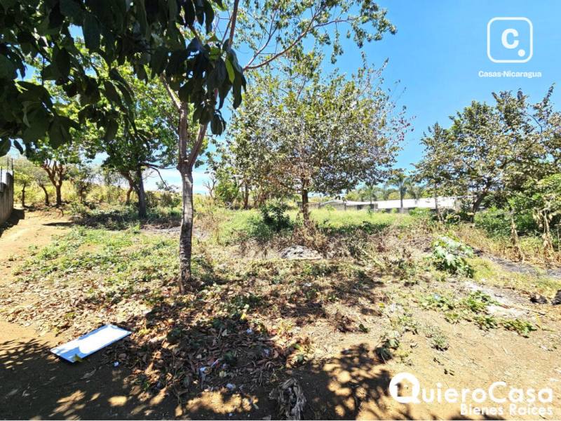 Terreno en venta en Santo Domingo, Managua – 764 m²