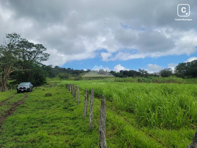 Finca en venta en Jinotega – 790,000 varas²