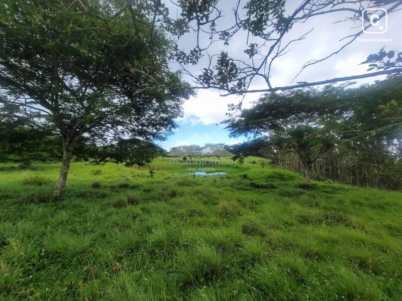 Finca en venta en Jinotega – 790,000 varas²
