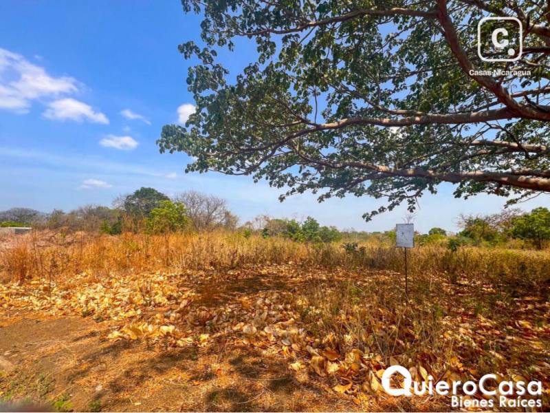 Terreno en venta en Veracruz, Managua – 1,285 m²