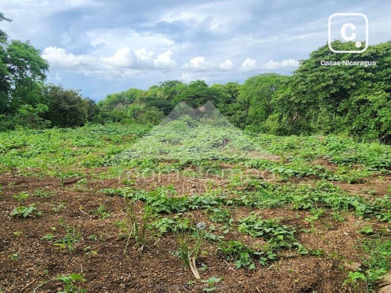 Lot for sale in San Isidro de Bolas, Managua – 500 m²