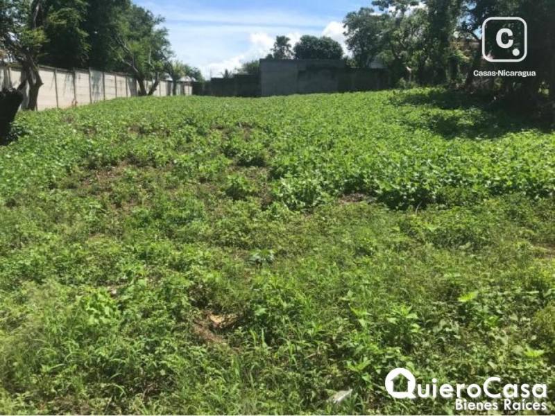 Terreno en venta en Santo Domingo, Managua – 1,209 m²