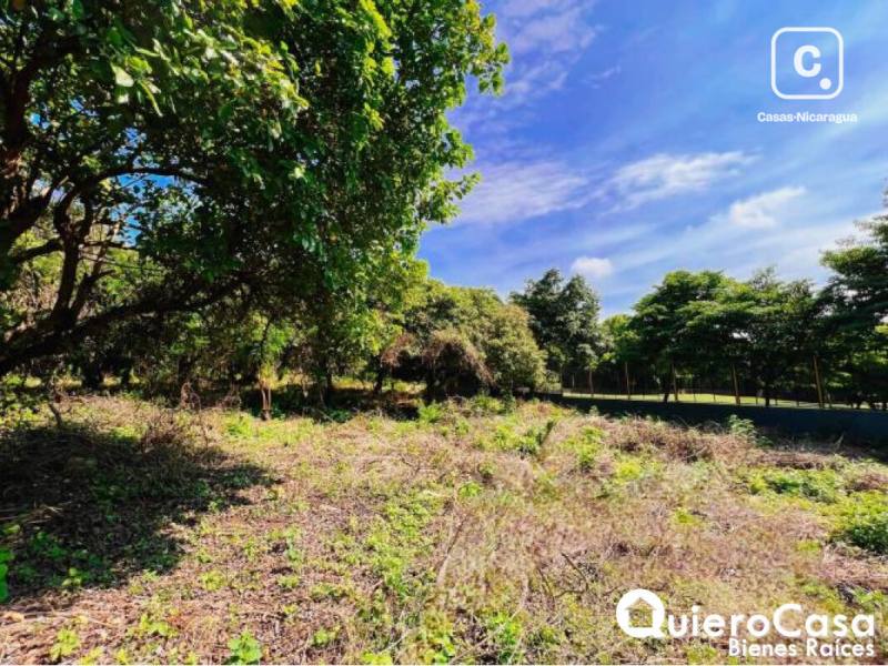Terreno en venta en Esquipulas, Managua – 1,397 m²