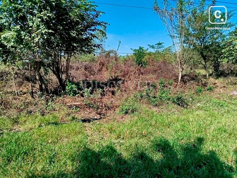 Lot for sale in Chinandega – 83,844 m²