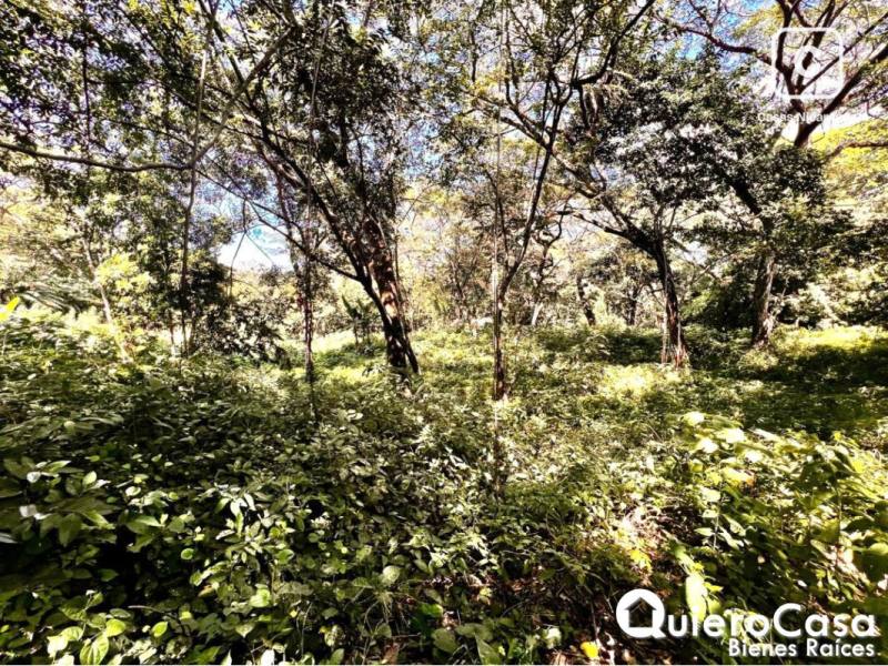 Lot for sale in Santo Domingo, Managua – 27,948 m²