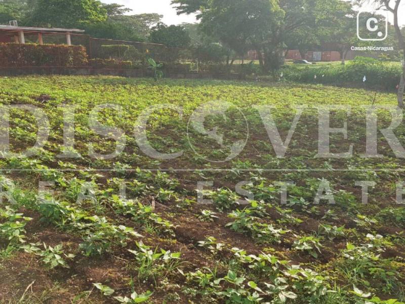 Lot for sale in Carretera Masaya, Managua – 1,043 m²