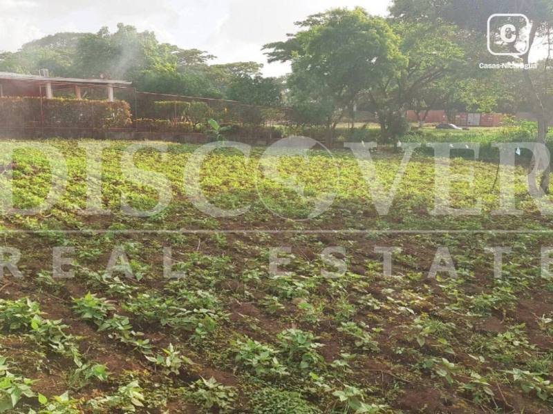 Terreno en venta en Carretera Masaya, Managua – 1,493 varas²