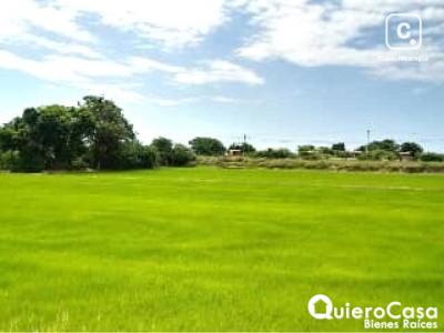 Lot for sale in Sábana Grande, Managua – 12,046 m²