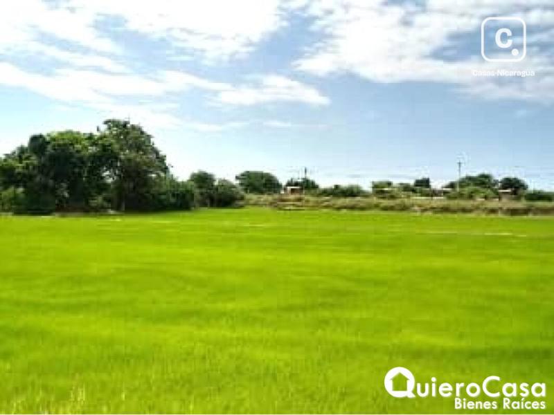 Lot for sale in Sábana Grande, Managua – 12,046 m²