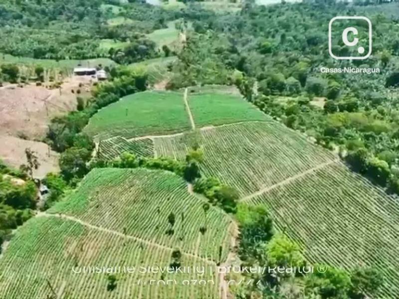 Farm for sale in Jinotega – 917,115,601 m²