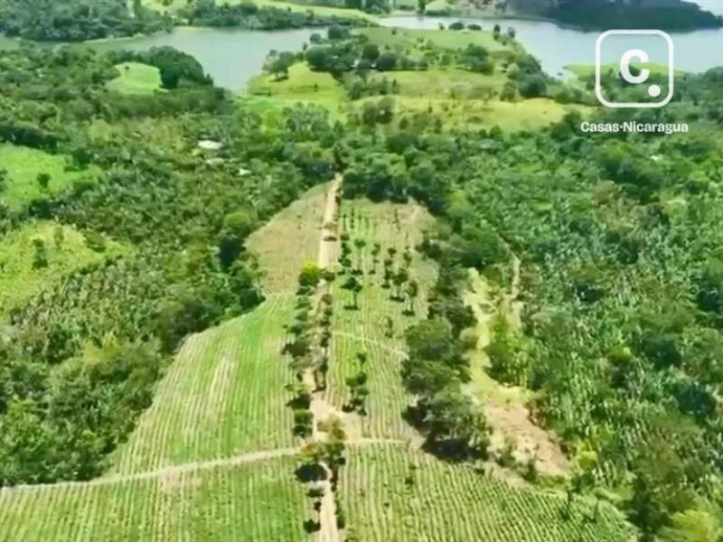 Farm for sale in Jinotega – 917,115,601 m²