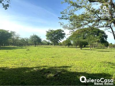 Finca en venta en Colonia Managua, Managua – 1,208,751 m²