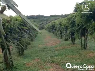 Finca en venta en Carretera Sur, Managua – 700,000 varas²