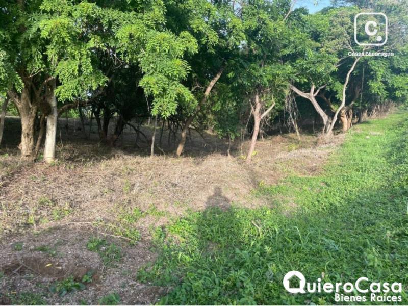 Terreno en venta en Carretera Masaya, Managua – 53,939 m²