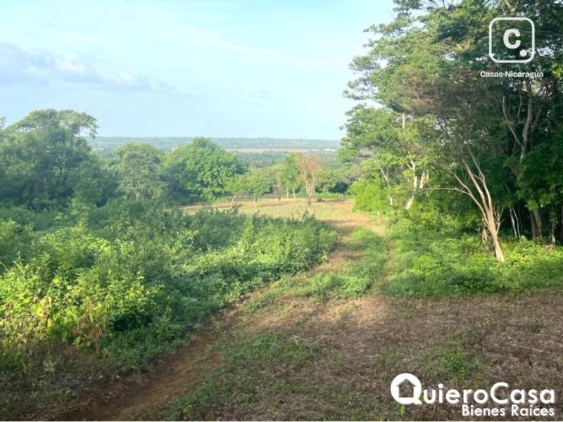 Terreno en venta en Carretera Masaya, Managua – 53,939 m²