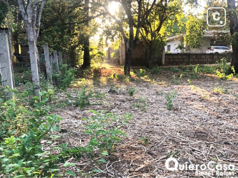 Lot for sale in Esquipulas, Managua – 479 m²