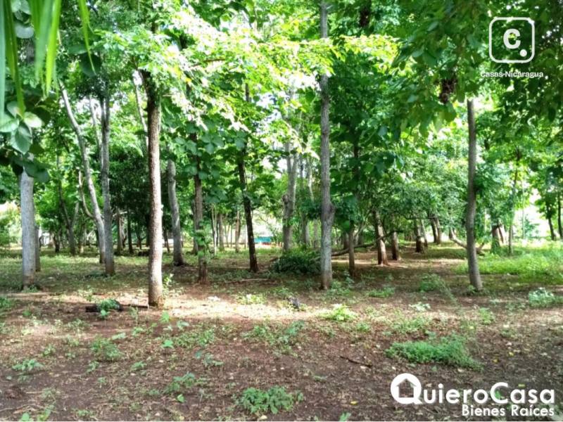 Terreno en venta en Masaya – 10,480 m²